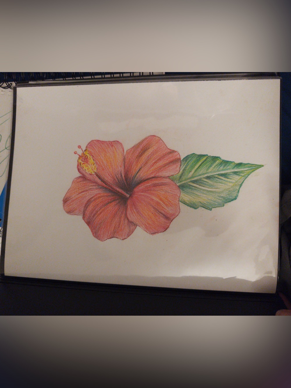 Original artwork drawn by Ikaika studio made in Hawaii